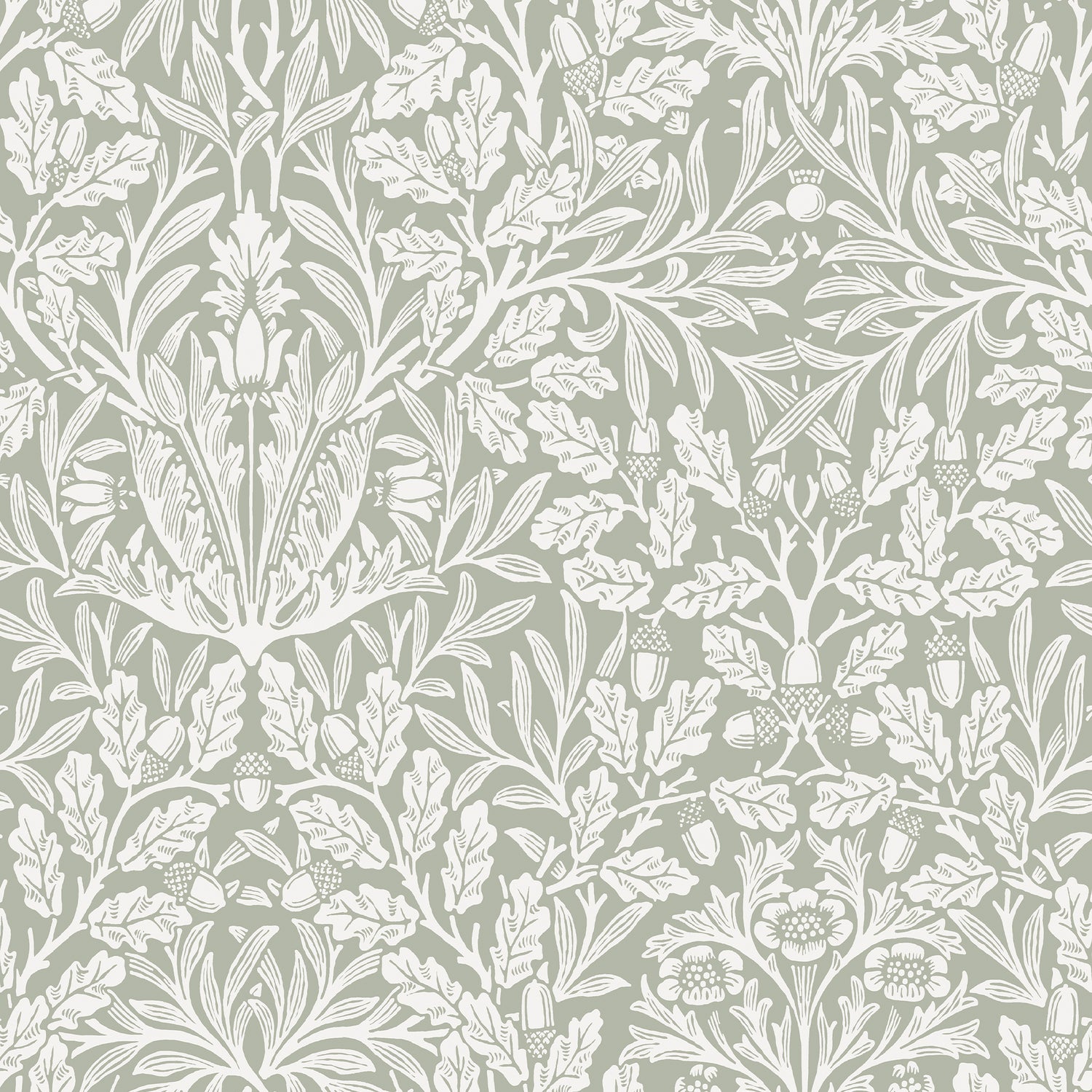 Acorn wallpaper in sage color - pattern number 140492 - by Graham and Brown in the William Morris At Home SS25 collection