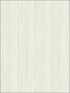 Weathered Wood Paneling fabric in 61204 color - pattern number YC61204 - by Wallquest in the Yacht Club collection
