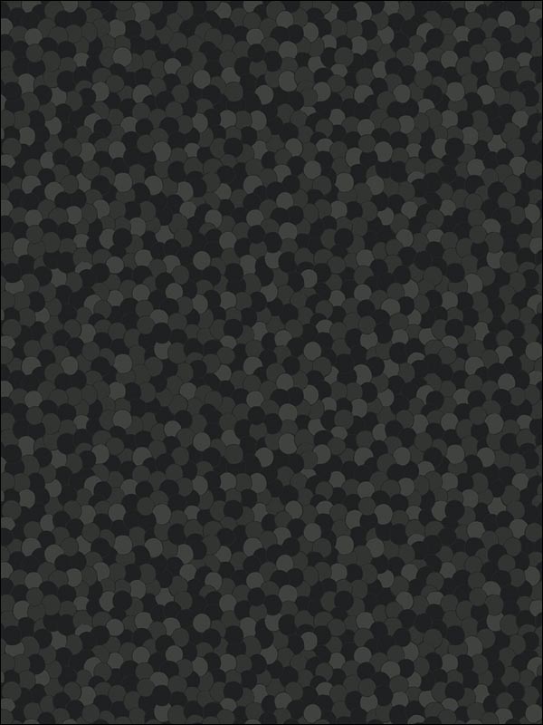 Sequins wallpaper in 21710 color - pattern number BW21710 - by Paper and Ink in the Black and White Paper and Ink collection