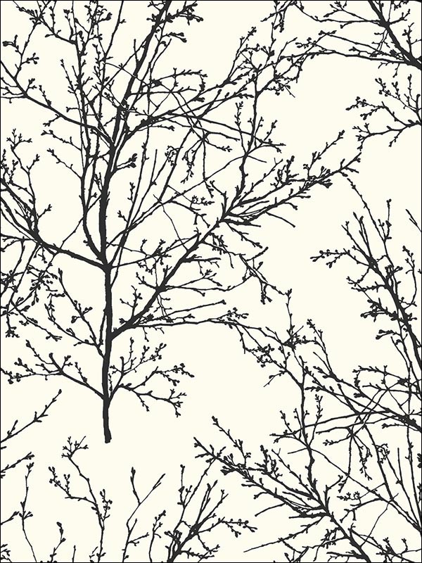 Winter Branches wallpaper in 22400 color - pattern number BW22400 - by Paper and Ink in the Black and White Paper and Ink collection