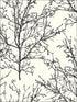 Winter Branches wallpaper in 22400 color - pattern number BW22400 - by Paper and Ink in the Black and White Paper and Ink collection