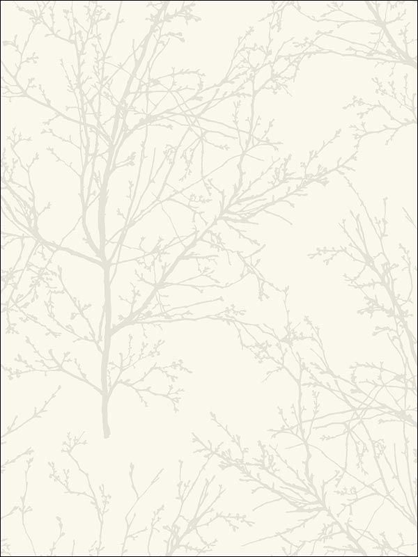 Winter Branches wallpaper in 22407 color - pattern number BW22407 - by Paper and Ink in the Black and White Paper and Ink collection