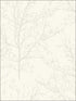 Winter Branches wallpaper in 22407 color - pattern number BW22407 - by Paper and Ink in the Black and White Paper and Ink collection