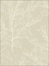 Winter Branches wallpaper in 22408 color - pattern number BW22408 - by Paper and Ink in the Black and White Paper and Ink collection