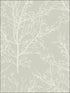 Winter Branches wallpaper in 22410 color - pattern number BW22410 - by Paper and Ink in the Black and White Paper and Ink collection