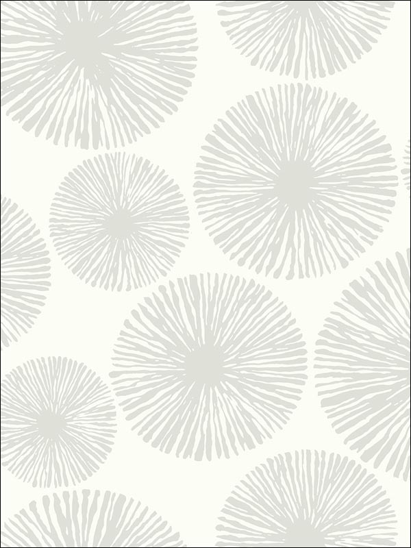 Sunburst wallpaper in 22501 color - pattern number BW22501 - by Paper and Ink in the Black and White Paper and Ink collection