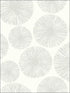 Sunburst wallpaper in 22501 color - pattern number BW22501 - by Paper and Ink in the Black and White Paper and Ink collection