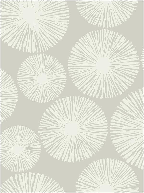 Sunburst wallpaper in 22502 color - pattern number BW22502 - by Paper and Ink in the Black and White Paper and Ink collection