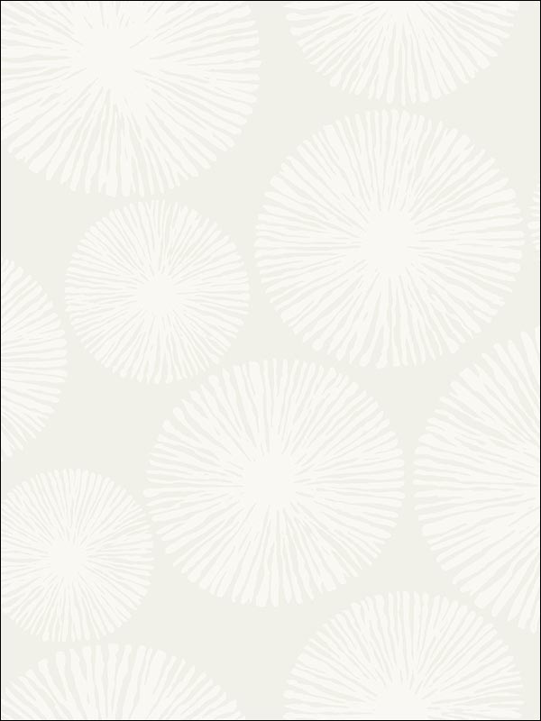 Sunburst wallpaper in 22510 color - pattern number BW22510 - by Paper and Ink in the Black and White Paper and Ink collection
