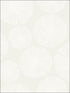 Sunburst wallpaper in 22510 color - pattern number BW22510 - by Paper and Ink in the Black and White Paper and Ink collection