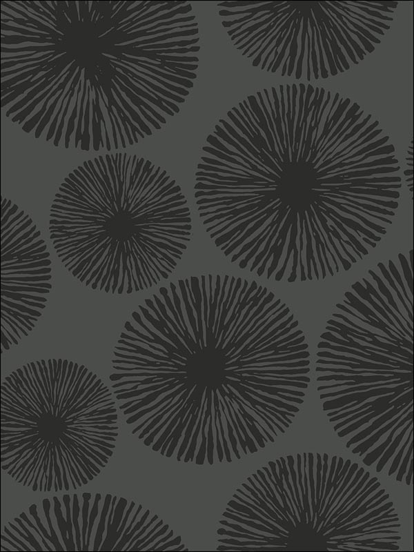Sunburst wallpaper in 22511 color - pattern number BW22511 - by Paper and Ink in the Black and White Paper and Ink collection