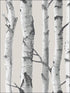 Birch Tree Peel and Stick fabric in neutral color - pattern number NU1650 - by Brewster in the NuWallpaper collection