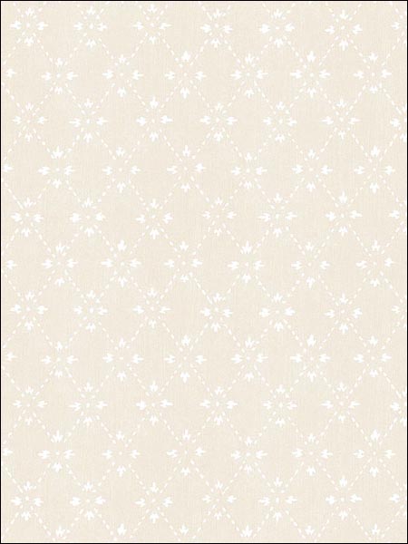 Kitchen Paisley Print wallpaper in neutrals color - pattern number AB27645 - by Patton Norwall in the Pretty Prints 4 collection