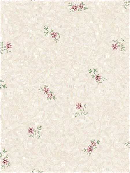 Floral Isabella wallpaper in pinks color - pattern number PP27837 - by Patton Norwall in the Pretty Prints 4 collection