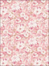 Floral Daisy Chain wallpaper in pinks color - pattern number PP35532 - by Patton Norwall in the Pretty Prints 4 collection