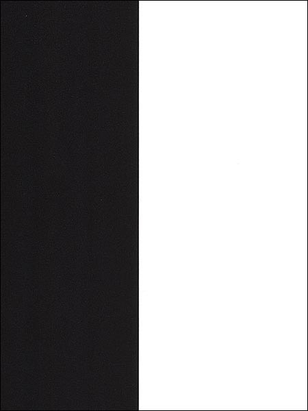 5.25 Stripe wallpaper in black white color - pattern number TS28131 - by Patton Norwall in the Shades collection
