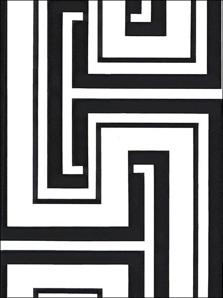 Tease wallpaper in black white color - pattern number TU27129 - by Patton Norwall in the Shades collection