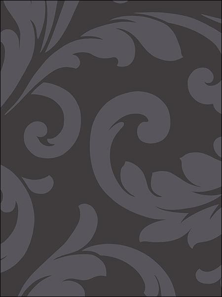 Hyatt Scroll wallpaper in black color - pattern number VG26236P - by Patton Norwall in the Shades collection