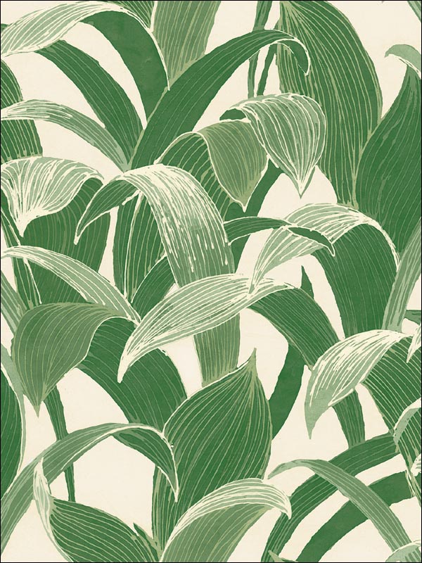 Imperial Banana Groves fabric in metallic pearl and forest green color - pattern number AI40304 - by Seabrook in the Koi collection