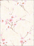 Silk Road Dogwood wallpaper in metallic pearl and pink color - pattern number AI41601 - by Seabrook in the Koi collection