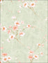 Silk Road Dogwood wallpaper in metallic mint and pink color - pattern number AI41604 - by Seabrook in the Koi collection