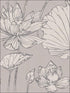 Lotus Floral wallpaper in metallic silver and gray color - pattern number AI42300 - by Seabrook in the Koi collection