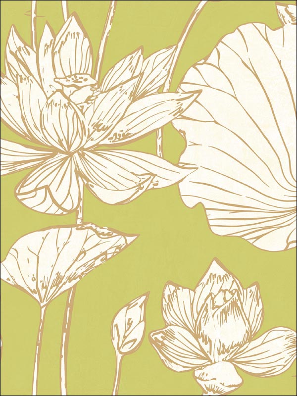 Lotus Floral wallpaper in metallic gold and lime green color - pattern number AI42304 - by Seabrook in the Koi collection