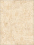 Atelier Stucco fabric in metallic gold and tan color - pattern number NE50407 - by Seabrook in the Nouveau Luxe collection