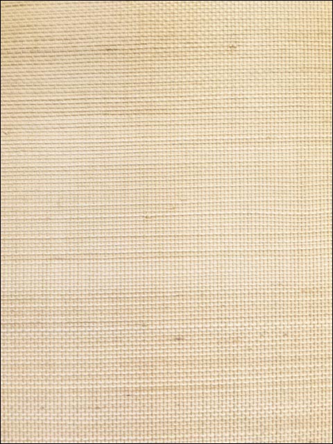Grasscloth W3205 fabric in beige color - pattern number W3205.16.0 - by Kravet in the Grasscloth III collection