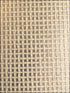 Grasscloth W3225 fabric in grey beige color - pattern number W3225.11.0 - by Kravet in the Grasscloth III collection