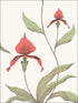 Orchid fabric in red white color - pattern number 95/10054.CS.0 - by Cole and Son in the Contemporary Restyled collection