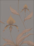 Orchid fabric in bronze slate color - pattern number 95/10056.CS.0 - by Cole and Son in the Contemporary Restyled collection