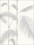 Palm Leaves fabric in grey white color - pattern number 95/1008.CS.0 - by Cole and Son in the Contemporary Restyled collection