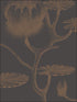 Lily fabric in black bronze color - pattern number 95/4021.CS.0 - by Cole and Son in the Contemporary Restyled collection