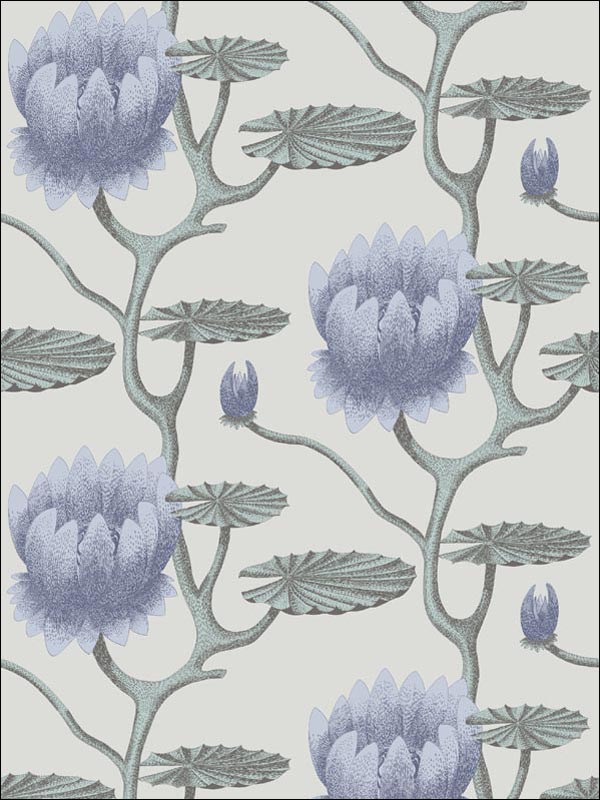 Summer Lily wallpaper in blu aq pearl color - pattern number 95/4024.CS.0 - by Cole and Son in the Contemporary Restyled collection