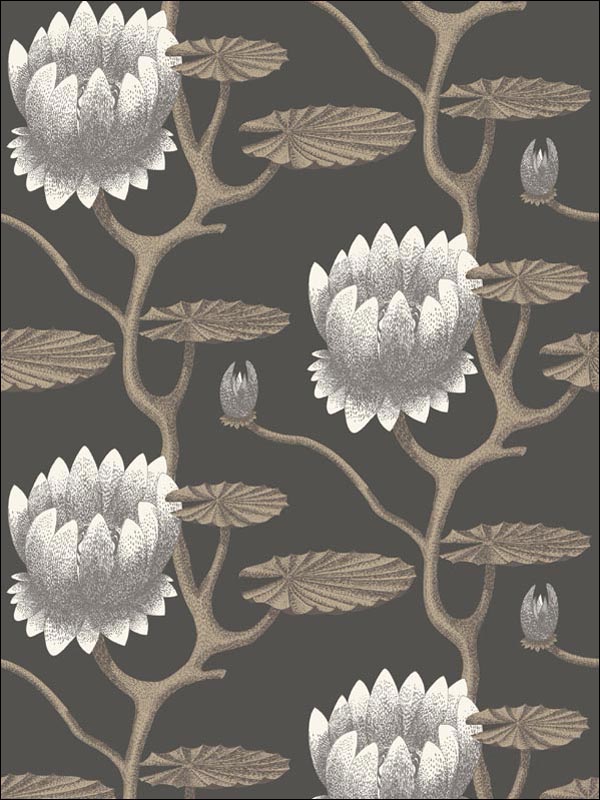 Summer Lily wallpaper in black white gold color - pattern number 95/4026.CS.0 - by Cole and Son in the Contemporary Restyled collection