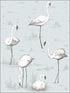 Flamingos fabric in charcoal aqua color - pattern number 95/8047.CS.0 - by Cole and Son in the Contemporary Restyled collection