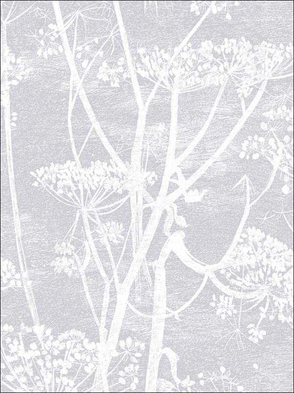 Cow Parsley wallpaper in lilac color - pattern number 95/9049.CS.0 - by Cole and Son in the Contemporary Restyled collection