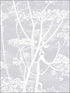Cow Parsley wallpaper in lilac color - pattern number 95/9049.CS.0 - by Cole and Son in the Contemporary Restyled collection