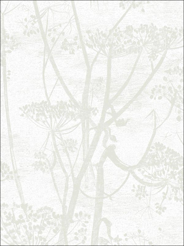 Cow Parsley wallpaper in white color - pattern number 95/9052.CS.0 - by Cole and Son in the Contemporary Restyled collection