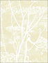 Cow Parsley wallpaper in straw white color - pattern number 95/9053.CS.0 - by Cole and Son in the Contemporary Restyled collection