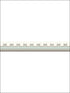 Broderie Border fabric in duck egg color - pattern number 99/14059.CS.0 - by Cole and Son in the Folie collection