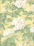 Bourlie wallpaper in pale lemon color - pattern number 99/4021.CS.0 - by Cole and Son in the Folie collection