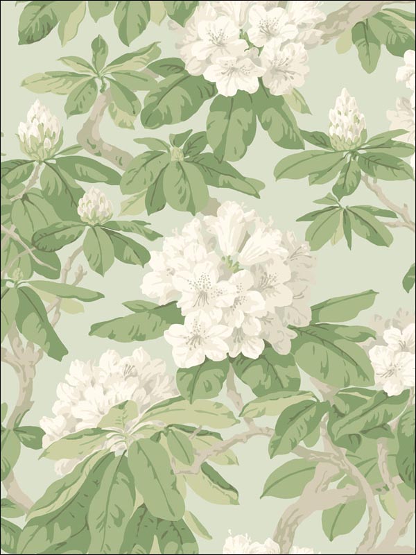 Bourlie wallpaper in duck egg color - pattern number 99/4022.CS.0 - by Cole and Son in the Folie collection