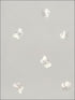 Peaseblossom fabric in grey color - pattern number 103/10034.CS.0 - by Cole and Son in the Whimsical collection