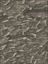 Melville Mt fabric in charcoal color - pattern number 103/1005.CS.0 - by Cole and Son in the Whimsical collection