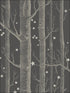 Woods and Stars fabric in charcoal color - pattern number 103/11053.CS.0 - by Cole and Son in the Whimsical collection