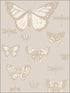 Butterflies and Dragonflies fabric in grey color - pattern number 103/15064.CS.0 - by Cole and Son in the Whimsical collection