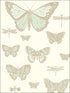 Butterflies and Dragonflies fabric in duck egg ivry color - pattern number 103/15065.CS.0 - by Cole and Son in the Whimsical collection