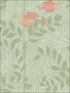 Nautilus fabric in soft green color - pattern number 103/4020.CS.0 - by Cole and Son in the Whimsical collection